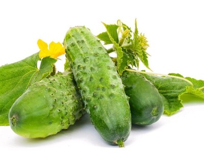 面對(duì)黃瓜莖稈開裂的情況該如何應(yīng)對(duì)？