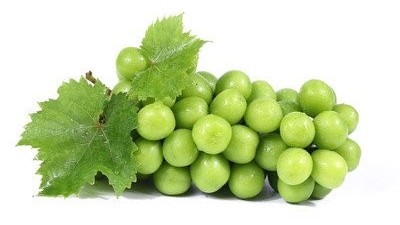 葡萄冬天怎么防凍，葡萄防凍時(shí)間及防凍措施