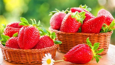 夏季草莓應(yīng)該如何澆水？