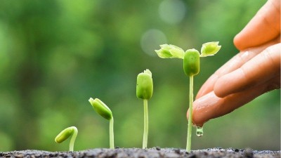 為什么肥料里有“腐植酸”效果就好？萊昂水溶肥給你答案