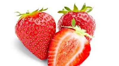 草莓育苗注意高溫熱害