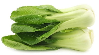 蔬菜換茬季，時間短、溫度低成為冬季換茬面臨的首要問題