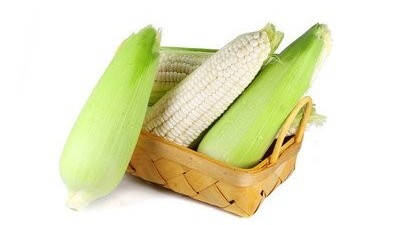 玉米出苗后葉片發(fā)黃，和這4點因素關(guān)系比較大，很容易造成減產(chǎn)。