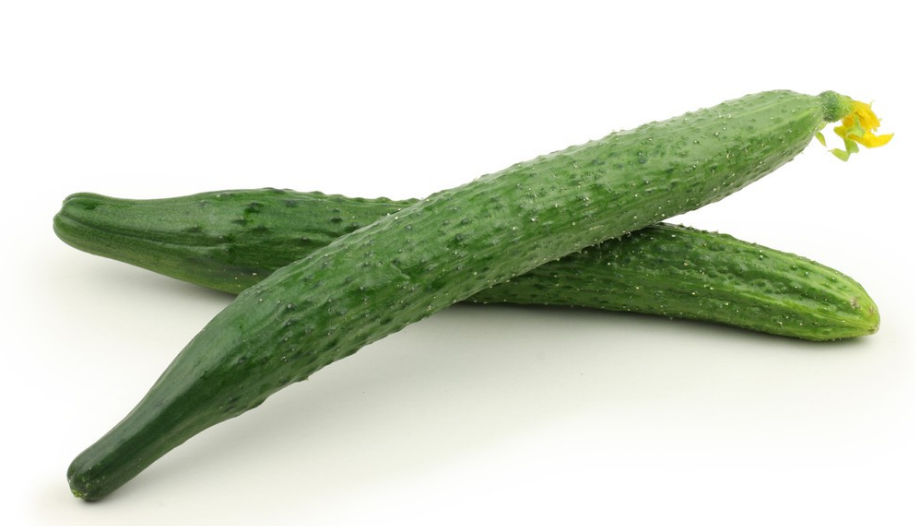 地里種植的黃瓜出現(xiàn)了很多大頭瓜，什么原因造成的?