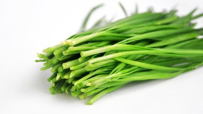 韭菜種植技術(shù)的幾種常見方法