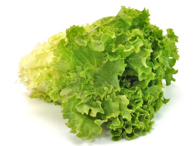 生菜什么時(shí)候種?可以從這幾個(gè)方面來選擇!