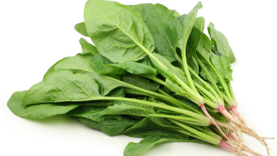 掌握4步，輕松學(xué)會(huì)種菠菜，產(chǎn)量高，農(nóng)戶都能種好