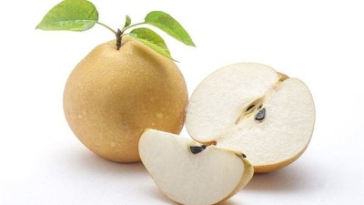 梨樹(shù)什么時(shí)候套袋好?套袋后如何施肥?