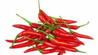 番茄、黃瓜、辣椒等蔬菜病毒病，抓住技巧，防治不難