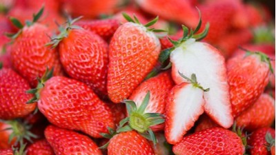 磷酸二氫鉀的六個(gè)黃金搭檔你知道嗎？