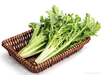 低溫天氣大棚蔬菜想要安全越冬，應(yīng)該如何應(yīng)對?