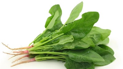 蔬菜噴施微肥應(yīng)該注意什么?蔬菜微肥噴施技術(shù)!
