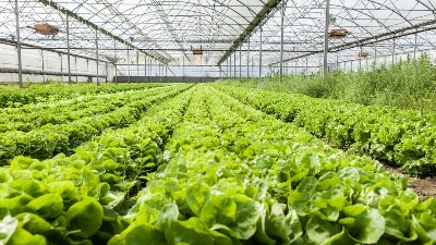 天冷了，你家大棚咋增溫?溫室大棚增溫的10個(gè)妙招!