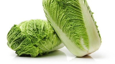白菜在秋季的管理技巧，這一些要知道!