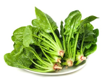菠菜病毒病有什么癥狀？該怎么防治？