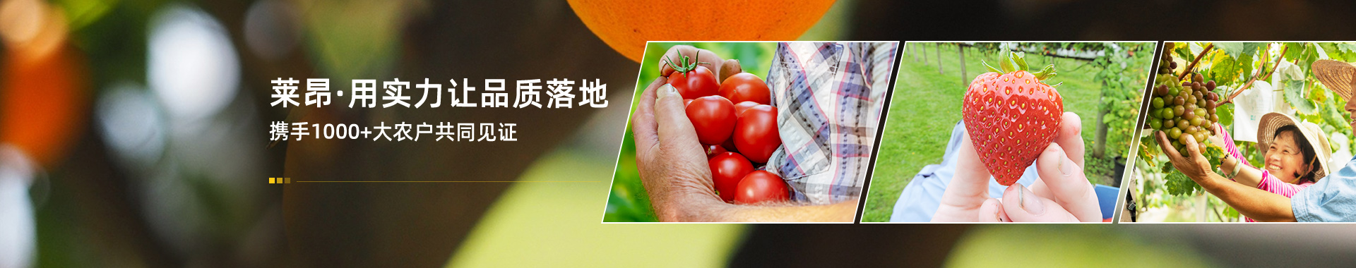 萊昂  用實力讓品質(zhì)落地