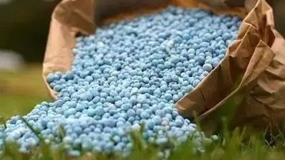 水溶肥和復(fù)合肥哪一個效果更好，有什么區(qū)別?