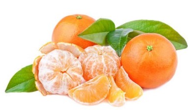 秋季柑橘管理的四個(gè)要點(diǎn)：施肥、疏果、防裂果