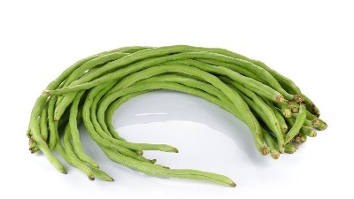 秋豆角想高產(chǎn)?4個(gè)技巧少不了!一茬一茬收不完!
