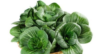 蔬菜養(yǎng)根，土壤環(huán)境很重要