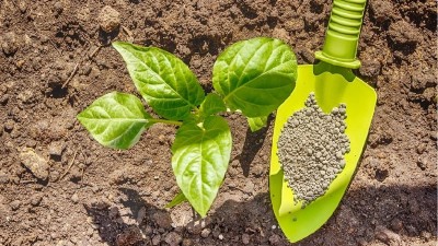 化肥、有機(jī)肥和生物菌肥各自有哪些不同？?jī)?yōu)缺點(diǎn)是什么呢？