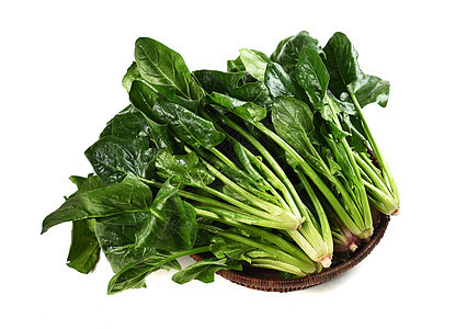 早春蔬菜定植如何才能提高成活率，避免出現(xiàn)死棵？